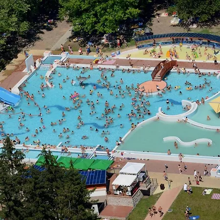 Napraforgo Vendeghaz * Мезёкёвешд