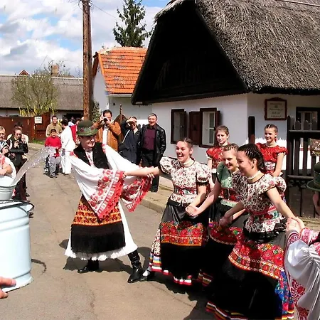 Napraforgo Vendeghaz Мезёкёвешд